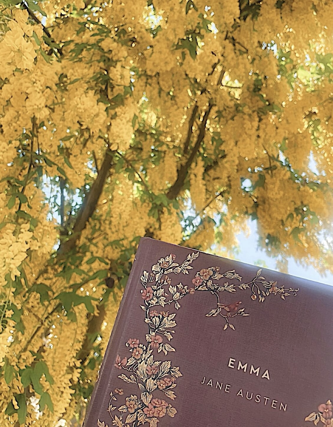 books to read in spring